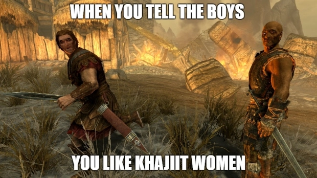 skyrim memes, skyrim