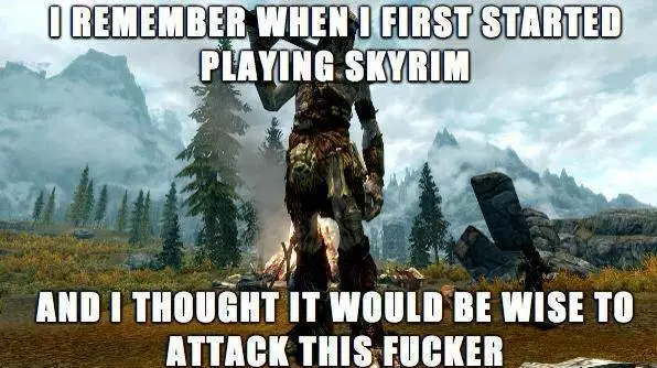 skyrim memes, skyrim