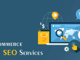 Ecommerce SEO Services