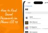 How to Find Saved Passwords on iPhone iOS 18